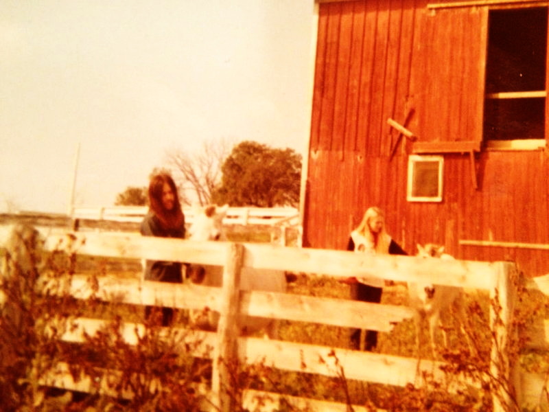 Alice Cooper Band Barn - Cindy Dunaway With Horse From Ron Volz